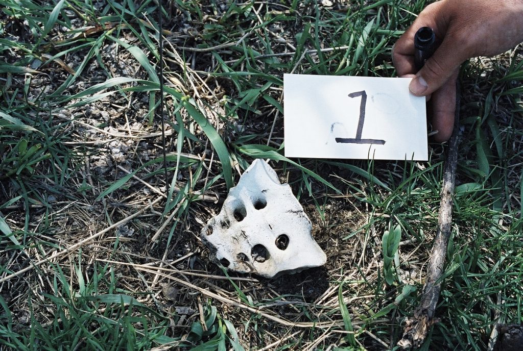 AMC CRIME ahonda en homicidios que se escondieron bajo tierra en ‘Enterrados’