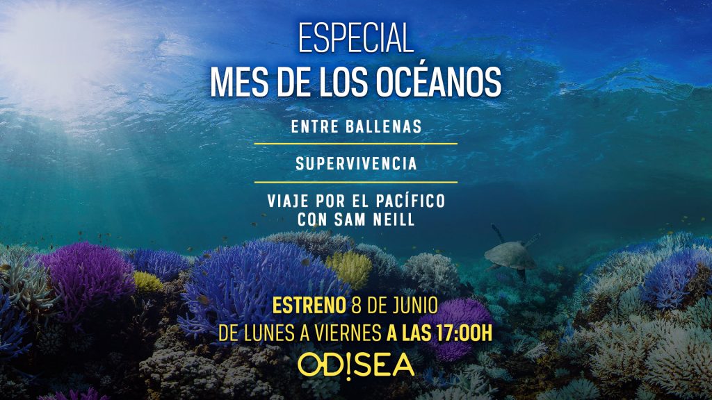 Odisea celebra el Día Mundial de los Océanos con una programación especial para el mes de junio
