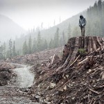 Odisea estrena en exclusiva “Por la caída de un árbol: la historia del Frente de Liberación de la Tierra”