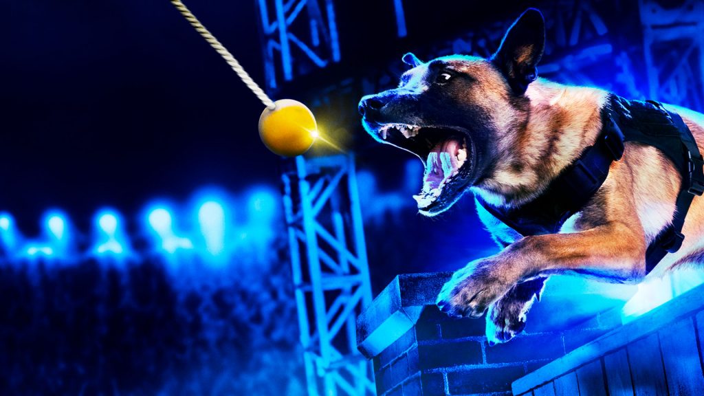 BLAZE estrena ‘Top Dog’, la competición que enfrenta a experimentados perros de élite policías y a hábiles civiles por ser el mejor de EEUU