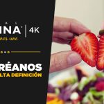 Canal Cocina y Canal Decasa, cadenas producidas por AMC Networks International Iberia, comenzarán a emitir en 4K UHD en junio