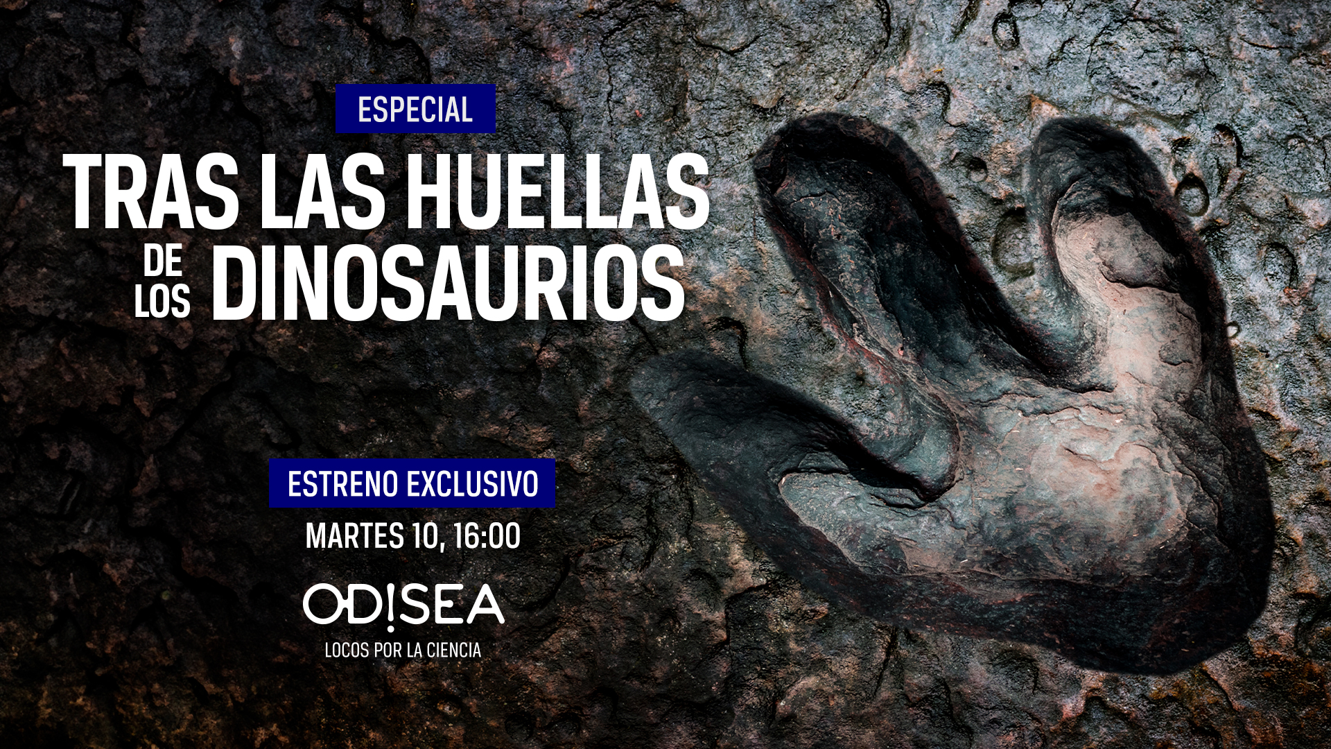 Odisea estrena ‘Tras las huellas de los dinosaurios’, un especial de programación dedicado a las criaturas más fascinantes y letales de la Prehistoria