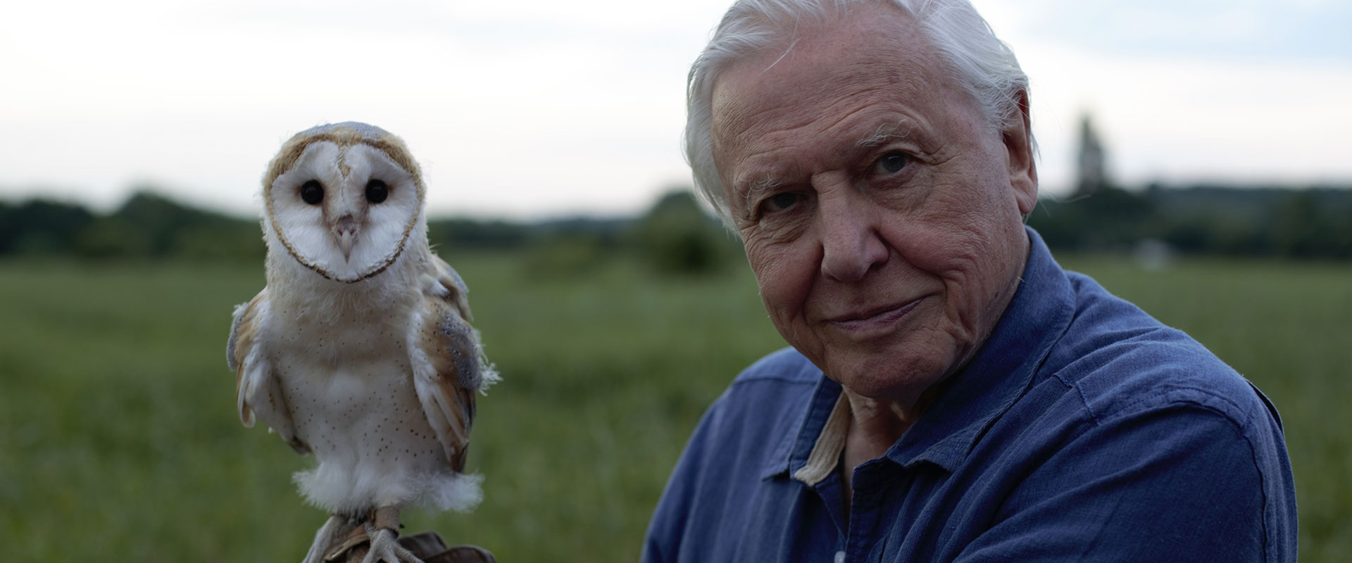 Odisea estrena ‘David Attenborough: una vida celebrando el planeta’, un homenaje a su legado como el divulgador científico más influyente del mundo natural